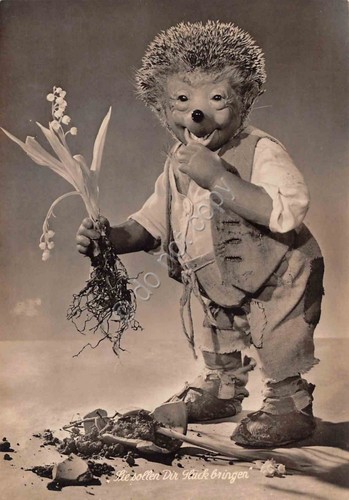 Cartolina Mecki aus den Filmen der Gebruder Diehl