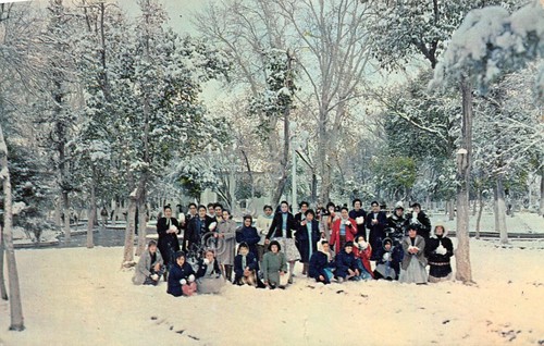 Cartolina Mexico Parque Lerdo Nevado Chiuahua, Chih 1974