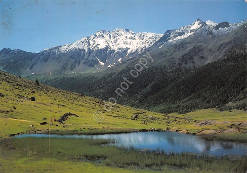 Cartolina Moena Val di Fassa Passo San Pellegrino 1994