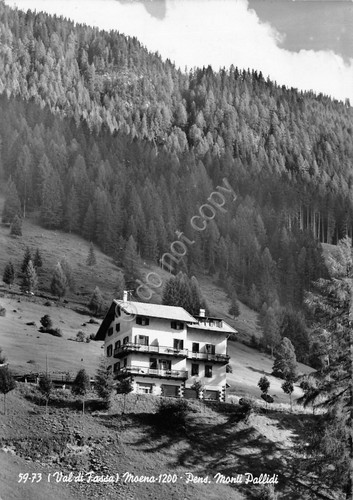 Cartolina Moena Val di Fassa Pensione Monti Pallidi 1956