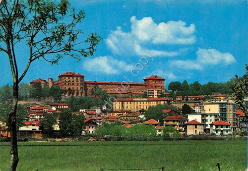 Cartolina Moncalieri Borgo Ale Scorcio panoramico e Castello reale ED …