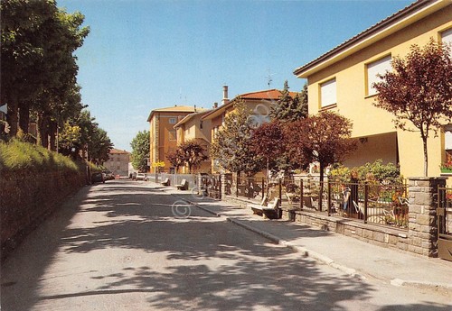 Cartolina Monghidoro Viale Roma