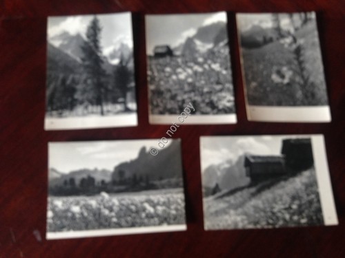 Cartolina Montagna panorama Lotto di 5 cartoline numerata bn NVG