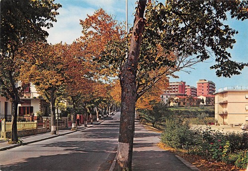 Cartolina Montaione Viale da Flilicaia (Firenze)