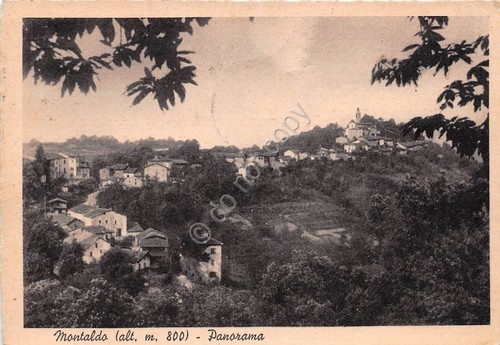 Cartolina Montaldo Panorama 1951 (Cuneo)