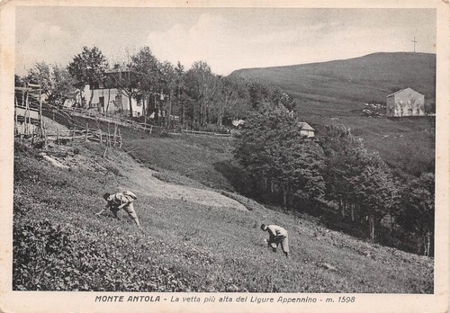 Cartolina Monte Antola Panorama animata 1959