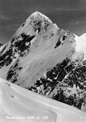 Cartolina Monte Corno Stella 1955