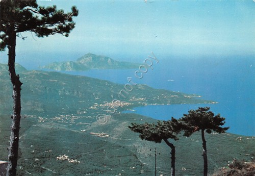 Cartolina Monte Faito Panorama con penisola Sorrentina e Capri 1968