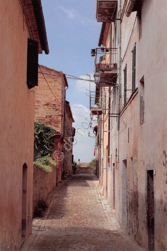 Cartolina Montecarotto Vicolo Via Vaccarile