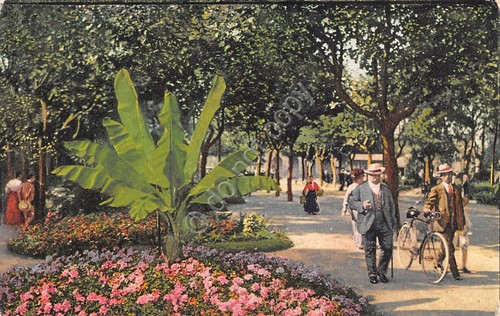 Cartolina Montecatini Bagni Viale Tettuccio animata