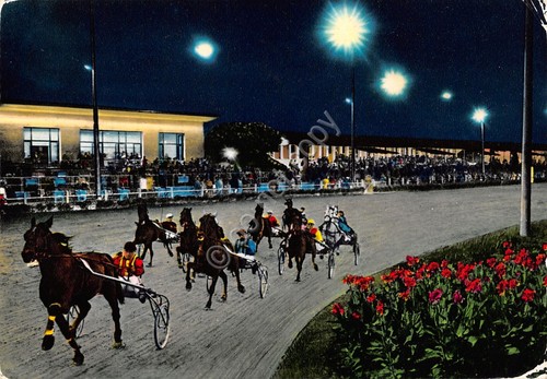 Cartolina Montecatini Terme Ippodromo Sesana Notturno bordi segnati