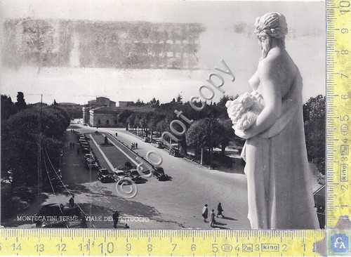 Cartolina Montecatini Viale del Tettuccio Auto D'epoca anni '50 (Pistoia)