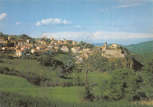 Cartolina Montecerboli Panorama anni '70