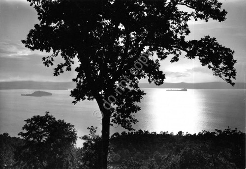 Cartolina Montefiascone Tramonto sul lago 1963 (Viterbo)