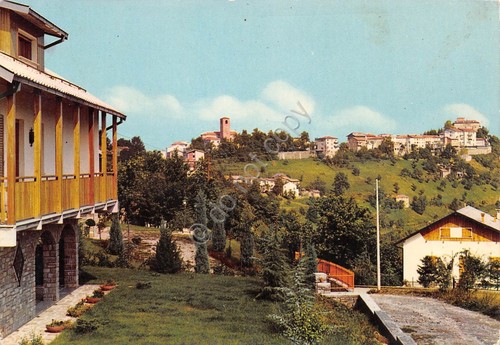 Cartolina Montefiorino Panorama con ville