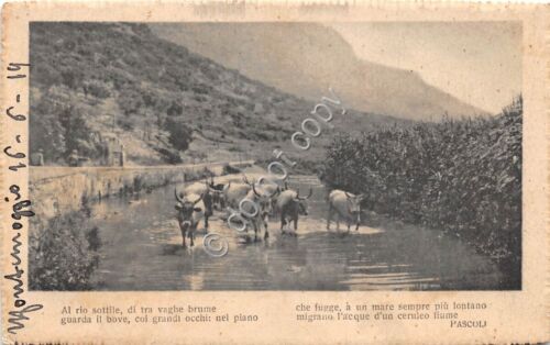Cartolina Montemoggio panorama con fiume e pascolo Poesia Pascoli 1919