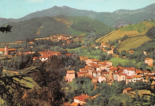Cartolina Montepiano panorama 1965
