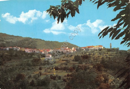 Cartolina Montereggio panorama