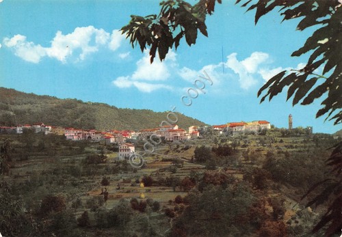 Cartolina Montereggio panorama 2