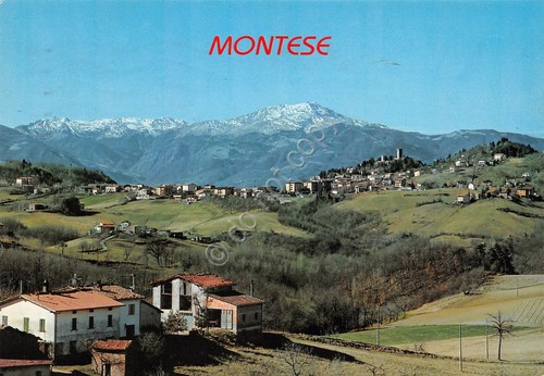 Cartolina Montese panorama e case 2005