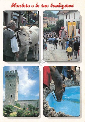 Cartolina Montese vedute di feste tradizionali 2007