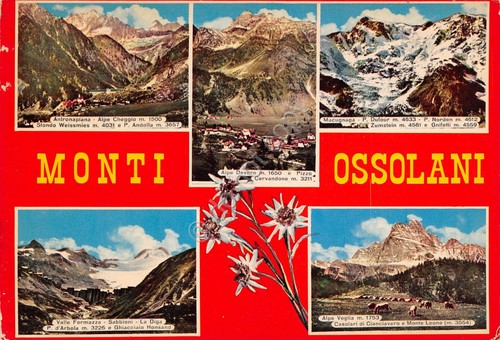 Cartolina Monti Ossolani Vedute stella alpina (Verbania)