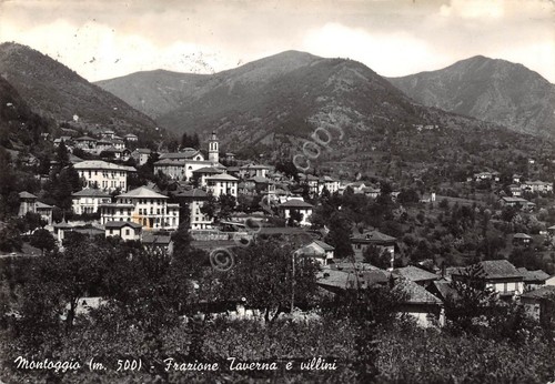 Cartolina Montoggio Frazione Taverna e villini 1956
