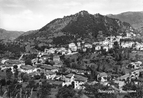 Cartolina Montoggio Panorama