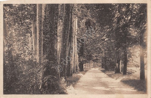 Cartolina Monza Regio parco 1930