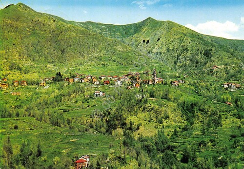 Cartolina Moranego panorama valle e case 1970