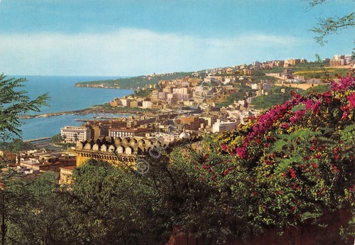 Cartolina Napoli Panorama con bougainvillae