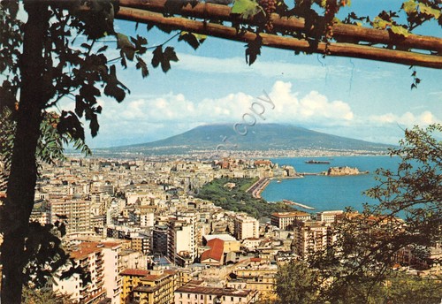 Cartolina Napoli Panorama da pergolato edizioni SAR