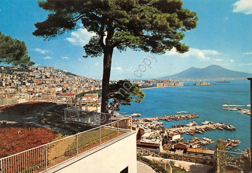 Cartolina Napoli Panorama da terrazza edizioni SAR