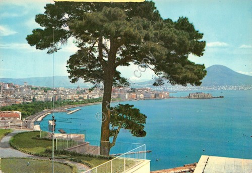 Cartolina Napoli vista da Via Orazio