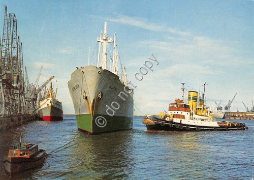 Cartolina Nave Port Elisabeth Harbour