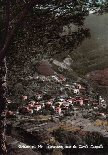 Cartolina Neirone panorama da Monte Cappello 1962 colorata