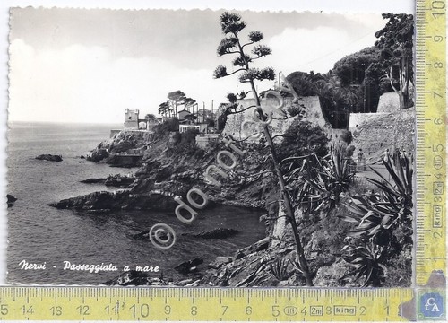Cartolina Nervi - Passeggiata a mare - 1962 (Genova)