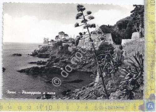 Cartolina Nervi - Passeggiata a mare - 1962 (Genova)
