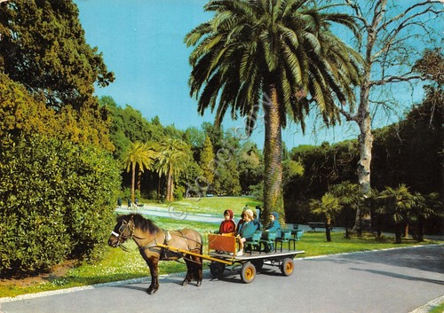 Cartolina Nervi il parco carretto con cavallo per bambini