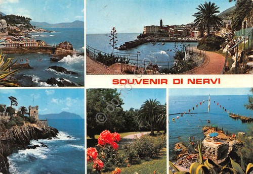 Cartolina Nervi vedute varie 1981