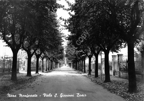 Cartolina Nizza Monferrato Viale S. Giovanni Bosco