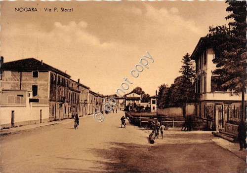 Cartolina Nogara Via Sterzi animata