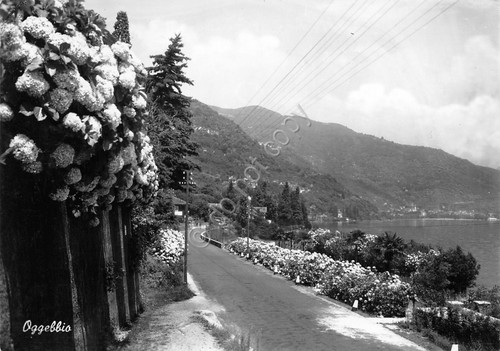 Cartolina Oggebbio panorama 1957