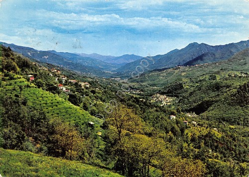 Cartolina Ognio Val Fontanabuona panorama 1976