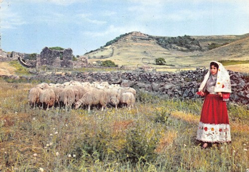 Cartolina Osilo Costumi Sardi con gregge 1958