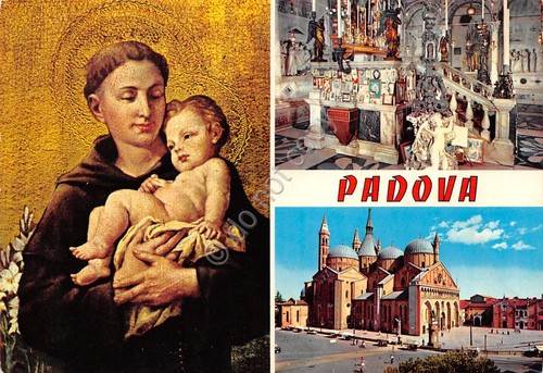 Cartolina Padova 3 vedute S. Antonio Basilica