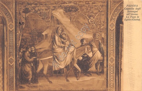 Cartolina Padova Cappella degli Scrovegni 1906