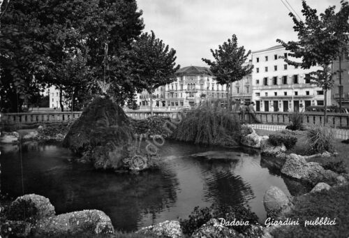 Cartolina Padova Giardini Pubblici 1953