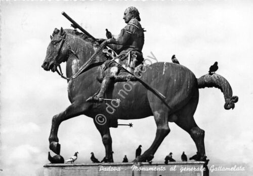 Cartolina Padova Monumento a Generale Gattamelata 1957