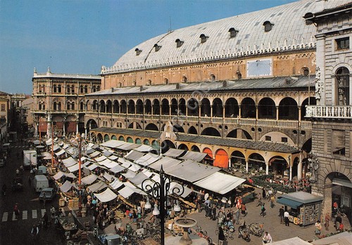 Cartolina Padova Piazza delle Erbe mercato anni '80